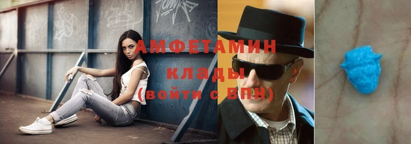 прущие грибы Дедовск