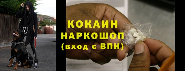 СК Алзамай