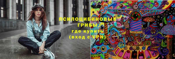 apvp Алексин
