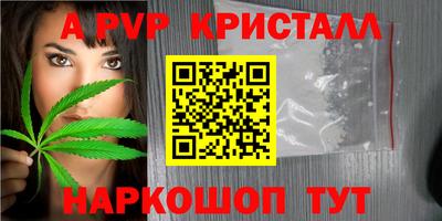 стафф Малоярославец